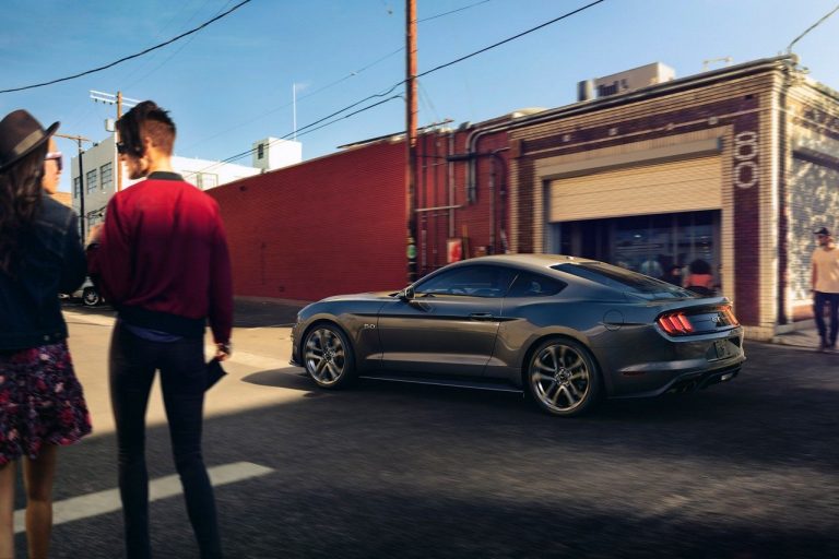 Mustang research paper 07 picture