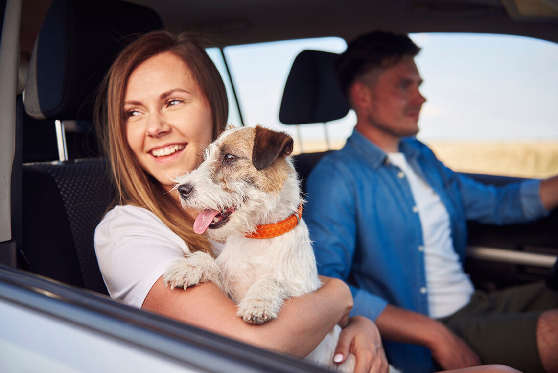 Couple driving with happy dog