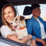 Couple driving with happy dog